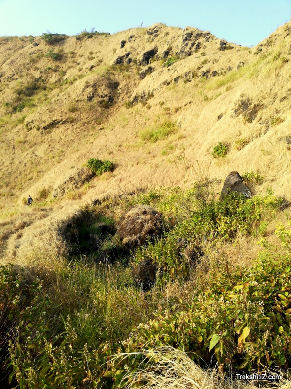 Madhu makarandgad